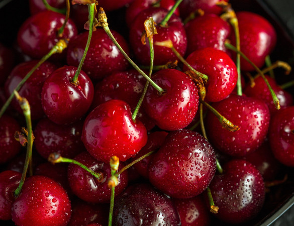 Zwarte Kers - Prunus Avium 'varikse zwarte'