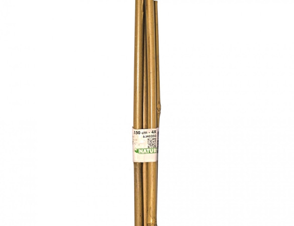 Verbinding set Leibomen