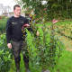 Glansmispel - Photinia x Fras. red robin