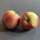 zeelandse appel - Malus Braeburn