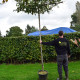 Photinia Fras. red robin - Dakvorm Glansmispel