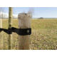 Boomband spijker met grote kop