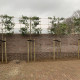 Leiboom met bamboe verbinden
