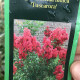 Lagerstroemia indica Tuscarora-   Indische sering